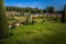 London - August 05, 2018: Ducks in the gardens of the Hampton Court Palace in London, England