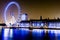 London Eye along the South Bank of River Thames