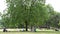 London James`s Park, People Tourists Relaxing Resting on Grass at Picnic