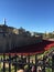 London poppies