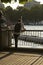 London, U.K. August 22, 2019 - Young man from the back, businessman standing at the Thames riverside in the city of London