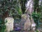 London, UK - February 5th 2011: Gravestones at High Gate Cemetery East amidst wilderness