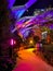 London, UK - January 2020: A night view of the illuminated Crossrail Place Roof Garden in Canary Wharf, London