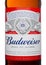 LONDON,UK - MARCH 21, 2017 : Bottle label of Budweiser Beer with new twist off cap on white. An American lager first introduced in