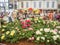 LONDON, UK - MAY 25, 2017: RHS Chelsea Flower Show 2017