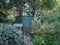 LONDON, UK - SEPTEMBER 20, 2019: The famous Victorian wrought iron urinal in York House Gardens, Twickenham, in the