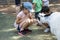 London, United Kingdom. August 22, 2009 - Child feeds goat at zoo, summer day