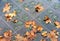 LONDON, UNITED KINGDOM - NOVEMBER 25, 2018: Bronze and natural maple leaves in the Canada Memorial in Green Park