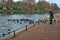 London, United Kingdom - October 2015: Visitors feeding the goose besides the lake at Hyde Park