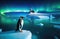 a lone adult penguin on an ice floe, the kingdom of ice and snow, an iceberg in the ocean, the northern lights