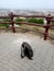 A lone backpack at the Eagle Mountain Lookout Tower in Budapest