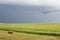 Lone Bale and Sunflower Field