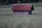 Lone Barn In Grain Field