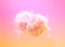 lone beautiful large cloud at sunset . creative nature 3D illustration