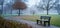 Lone bench in an empty park, foggy morning, muted colors, sense of solitude and calm.