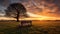 A lone bench in a field taken during a low sunset