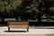 A lone bench in a park inviting for contemplation