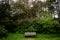 Lone Bench in State Park of Minnesota