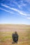 Lone Bison and Sky