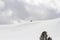 Lone bison on snowy hillside in Yellowstone National Park, Wyoming in winter