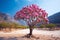 Lone bonsai tree with pink flower in an arid landscape AI generated