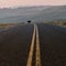 Lone Buffalo Crosses Road