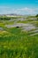 Lone Buffalo grazing in the Badlands of South Dakota, vertical