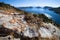 Lone bush sitting in the rocks on a cliff near the sea. Turkey.