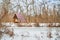 Lone cabin on frozen river in winter with snow