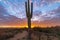 Lone Cactus With Desert Sunrise Background In Arizona