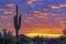 Lone Cactus With Desert Sunrise Background In Arizona