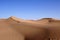 a lone camel walking over sand dunes in a desert landscape