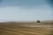 A Lone Car Driving On A Large Field Of Sand Beach In Foggy And Misty Sky In Long Beach Washington