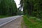 .A lone car on an empty road passing through a forest.