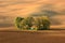 Lone chapel in the fields - spring in brown colors