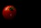 Lone Cherry tomato on black background