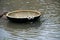 Lone Coracle