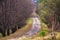 Lone country road in Carpathian mountains