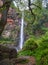 Lone Creek Falls, dramatic waterfalls in forested area in the Blyde River Canyon, Panorama Route near Sabie,South Africa