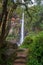 Lone Creek Falls, dramatic waterfalls in forested area in the Blyde River Canyon, Panorama Route near Sabie,South Africa