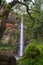 Lone Creek Falls, dramatic waterfalls in forested area in the Blyde River Canyon, Panorama Route near Sabie,South Africa