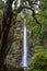 Lone Creek Falls, dramatic waterfalls in forested area in the Blyde River Canyon, Panorama Route near Sabie,South Africa