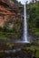 Lone Creek Falls, dramatic waterfalls in forested area in the Blyde River Canyon, Panorama Route near Sabie,South Africa