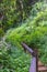 The Lone Creek Falls: walkway leading to the dramatic waterfalls in the Blyde River Canyon, Panorama Route, South Africa