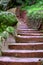 The Lone Creek Falls: walkway leading to the dramatic waterfalls in the Blyde River Canyon, Panorama Route, South Africa