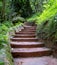 The Lone Creek Falls: walkway leading to the dramatic waterfalls in the Blyde River Canyon, Panorama Route, South Africa