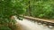 A lone cyclist drives along the path in the autumn forest along the railway.