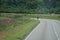 A lone cyclist rides next to a field of wildflowers