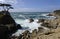 Lone Cypress, 17 Miles Drive, California, USA