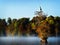 Lone Cypress and Blue Heron